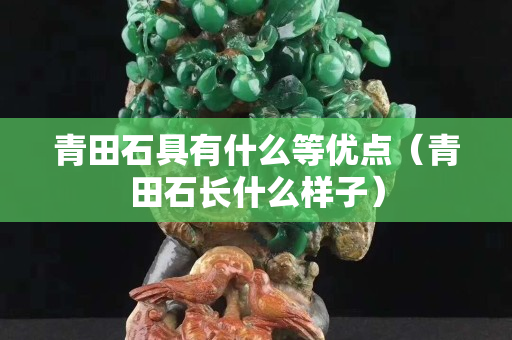 青田石具有什么等优点（青田石长什么样子）