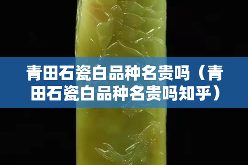 青田石瓷白品种名贵吗（青田石瓷白品种名贵吗知乎）