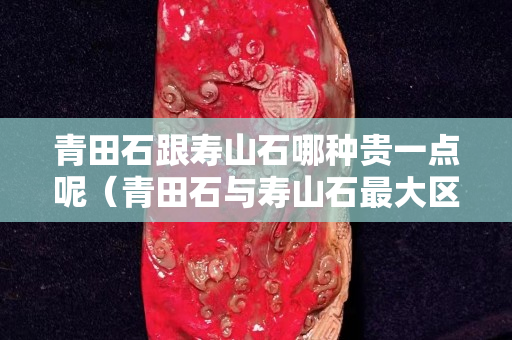青田石跟寿山石哪种贵一点呢（青田石与寿山石最大区别是什么）