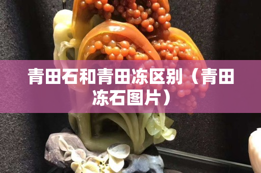 青田石和青田冻区别（青田冻石图片）