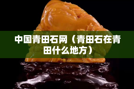 中国青田石网（青田石在青田什么地方）