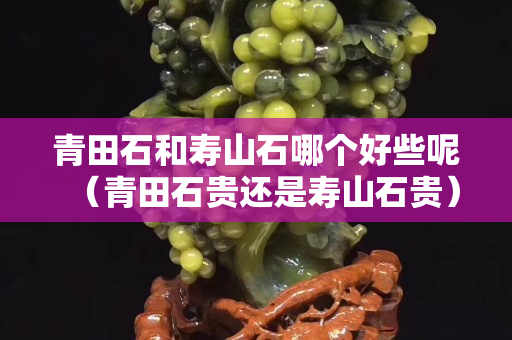 青田石和寿山石哪个好些呢（青田石贵还是寿山石贵）