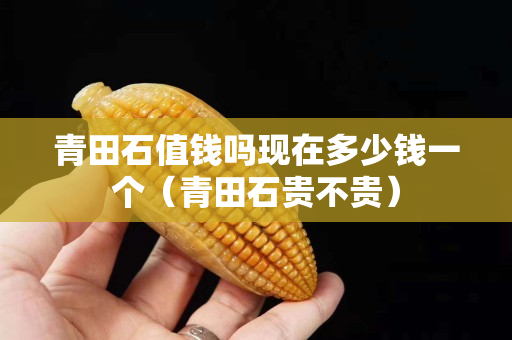 青田石值钱吗现在多少钱一个（青田石贵不贵）