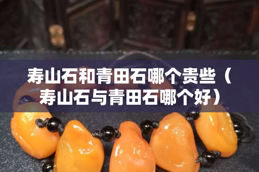 寿山石和青田石哪个贵些（寿山石与青田石哪个好）