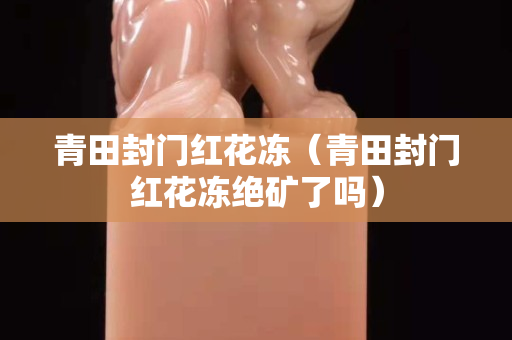 青田封门红花冻（青田封门红花冻绝矿了吗）