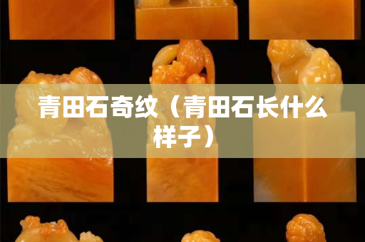 青田石奇纹（青田石长什么样子）
