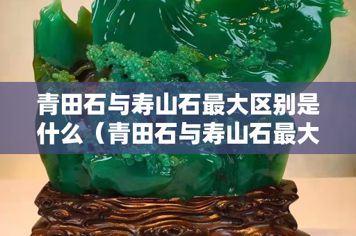 青田石与寿山石最大区别是什么（青田石与寿山石最大区别是什么意思）