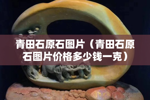 青田石原石图片（青田石原石图片价格多少钱一克）