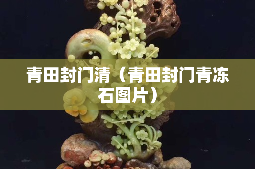 青田封门清（青田封门青冻石图片）