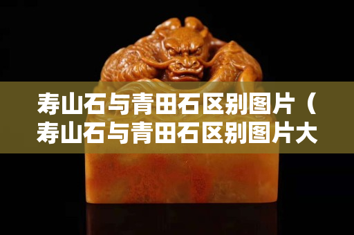 寿山石与青田石区别图片（寿山石与青田石区别图片大全）