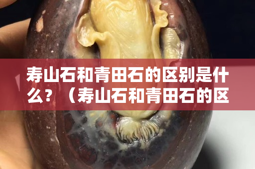 寿山石和青田石的区别是什么？（寿山石和青田石的区别是什么意思）