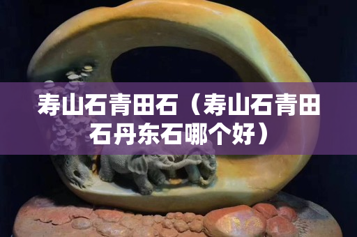 寿山石青田石（寿山石青田石丹东石哪个好）