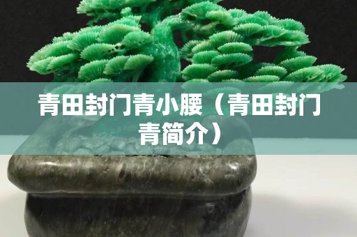青田封门青小腰（青田封门青简介）