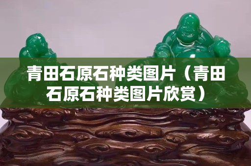 青田石原石种类图片（青田石原石种类图片欣赏）