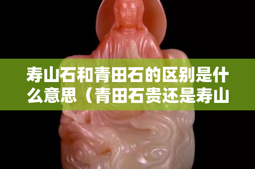寿山石和青田石的区别是什么意思（青田石贵还是寿山石贵）