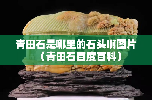 青田石是哪里的石头啊图片（青田石百度百科）