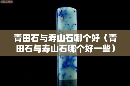青田石与寿山石哪个好（青田石与寿山石哪个好一些）