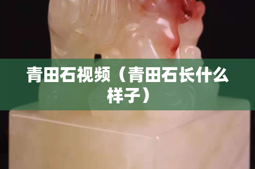青田石视频（青田石长什么样子）
