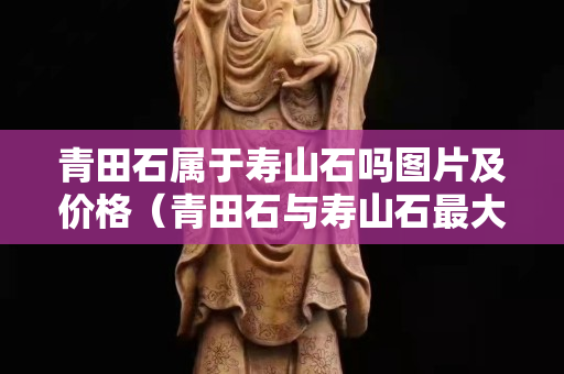 青田石属于寿山石吗图片及价格（青田石与寿山石最大区别是什么）