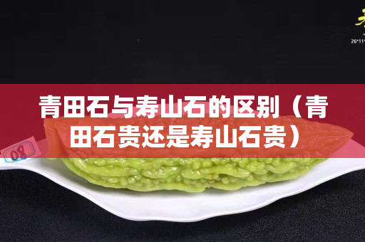 青田石与寿山石的区别（青田石贵还是寿山石贵）