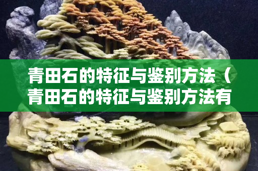 青田石的特征与鉴别方法（青田石的特征与鉴别方法有哪些）