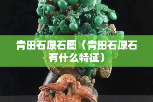 青田石原石图（青田石原石有什么特征）