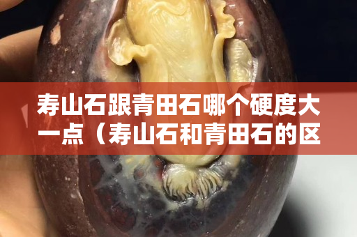 寿山石跟青田石哪个硬度大一点（寿山石和青田石的区别是什么？）
