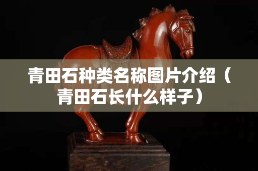 青田石种类名称图片介绍（青田石长什么样子）