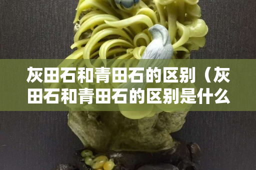 灰田石和青田石的区别（灰田石和青田石的区别是什么）