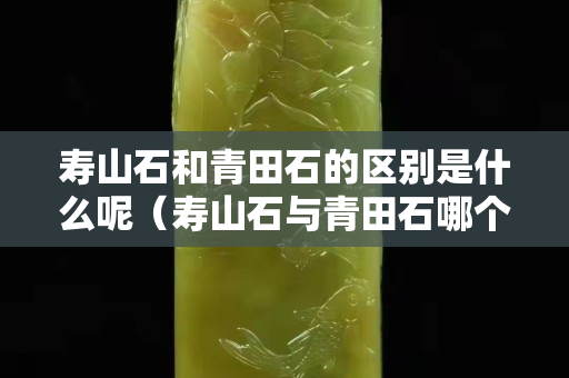 寿山石和青田石的区别是什么呢（寿山石与青田石哪个好）