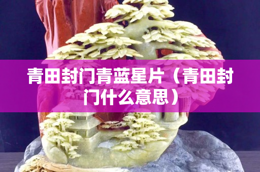青田封门青蓝星片（青田封门什么意思）