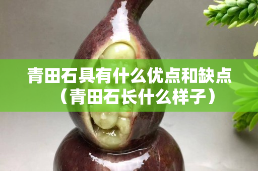 青田石具有什么优点和缺点（青田石长什么样子）
