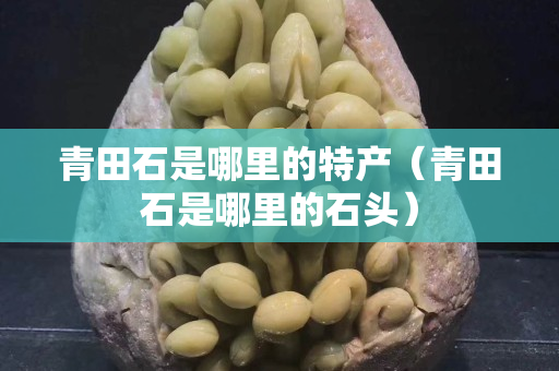 青田石是哪里的特产（青田石是哪里的石头）