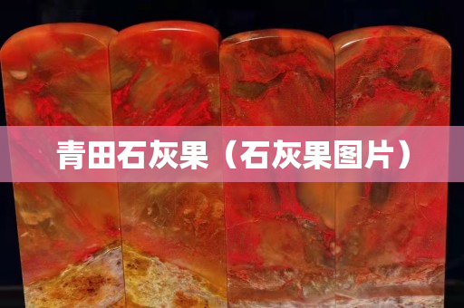 青田石灰果（石灰果图片）