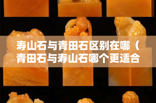 寿山石与青田石区别在哪（青田石与寿山石哪个更适合刻印章）