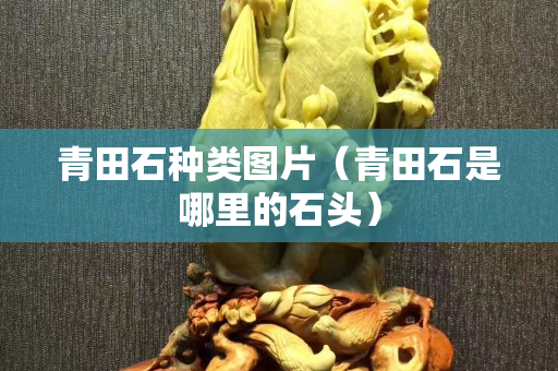 青田石种类图片（青田石是哪里的石头）