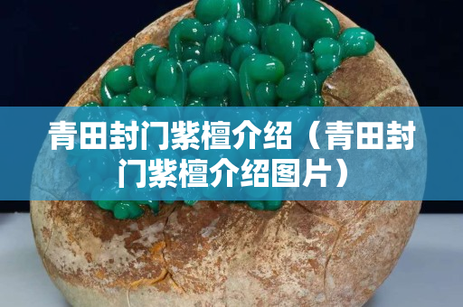 青田封门紫檀介绍（青田封门紫檀介绍图片）