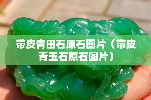 带皮青田石原石图片（带皮青玉石原石图片）
