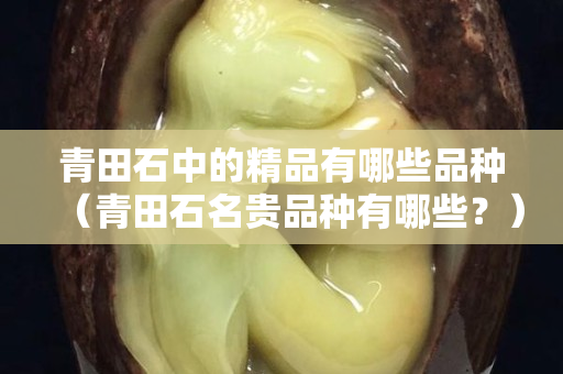 青田石中的精品有哪些品种（青田石名贵品种有哪些？）