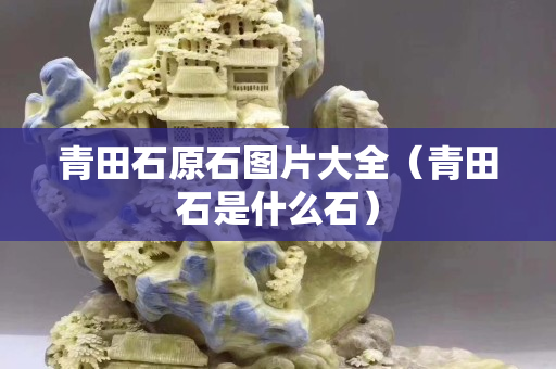 青田石原石图片大全（青田石是什么石）