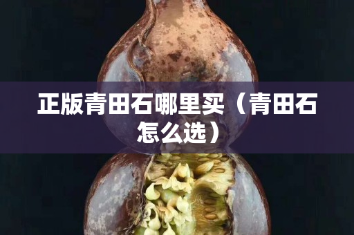 正版青田石哪里买（青田石怎么选）