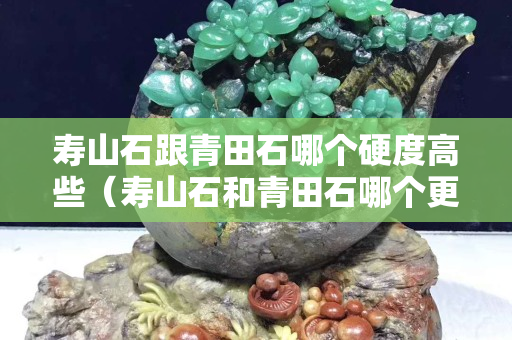 寿山石跟青田石哪个硬度高些（寿山石和青田石哪个更有收藏价值）