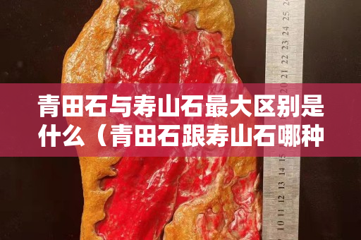 青田石与寿山石最大区别是什么（青田石跟寿山石哪种贵）