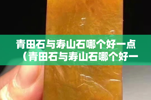 青田石与寿山石哪个好一点（青田石与寿山石哪个好一点图片）