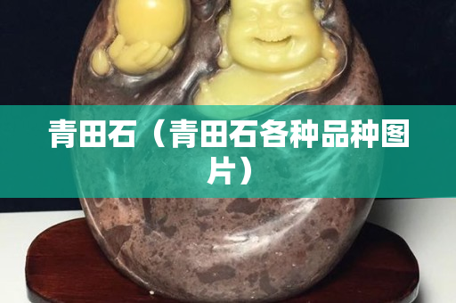 青田石（青田石各种品种图片）