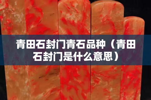青田石封门青石品种（青田石封门是什么意思）