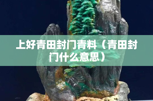 上好青田封门青料（青田封门什么意思）