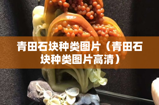 青田石块种类图片（青田石块种类图片高清）