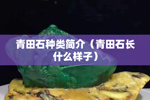 青田石种类简介（青田石长什么样子）