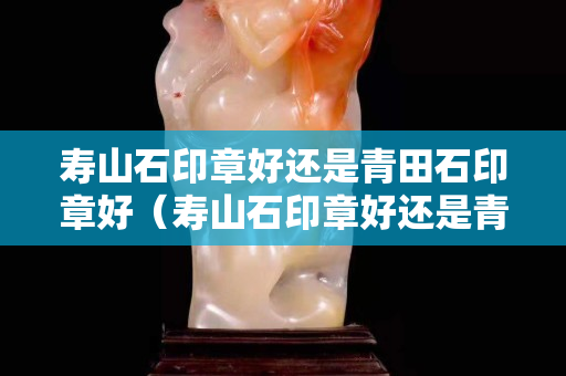 寿山石印章好还是青田石印章好（寿山石印章好还是青田石印章好看）